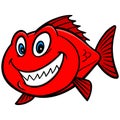 Red Snapper Fish Royalty Free Stock Photo