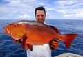 Red snapper Royalty Free Stock Photo