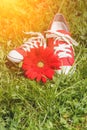 Red sneakers with flower Royalty Free Stock Photo