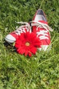 Red sneakers with flower Royalty Free Stock Photo