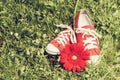 Red sneakers with flower. Toned image Royalty Free Stock Photo