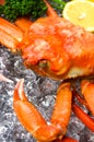 Red snow crab Royalty Free Stock Photo