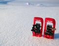 Red snowshoes in snow