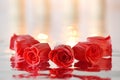 Red soap roses with reflection