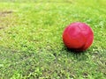 Red soccer ball on green grass. Selective focus