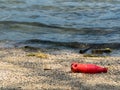 Red soda bottles that were left by tourists on the beach Royalty Free Stock Photo