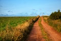 Red soil road