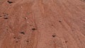 Red soil terrain after rain, in the national geological Timna park, Israel Royalty Free Stock Photo