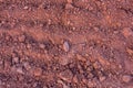 Red soil texture Royalty Free Stock Photo