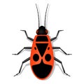 Red soldier bug with black spots Royalty Free Stock Photo