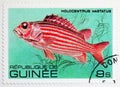 Red Soldier Fish (Holocentrus hastatus), Fish serie, circa 1980