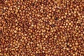 Red sorghum seeds suitable