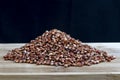 Red sorghum Sorghum bicolor seeds Royalty Free Stock Photo