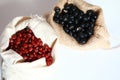 Red soy beans and black soy beans In the cloth belt Royalty Free Stock Photo