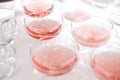 Red sparkling wine in a few glasses Royalty Free Stock Photo
