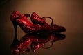 Red Sparkly Shoes Royalty Free Stock Photo