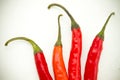 Red spicy chili peppers