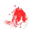 Red spilled paint brush isolated on white background Royalty Free Stock Photo