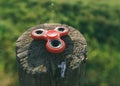 Red spinner on a close-up Royalty Free Stock Photo
