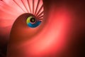 Red spiral staircase high angle vertical view Royalty Free Stock Photo