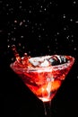 Red splashing cocktail Royalty Free Stock Photo