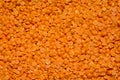 Red split lentils background