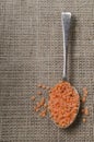 Red split lentils on a spoon