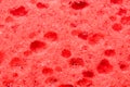 red sponge texture Royalty Free Stock Photo