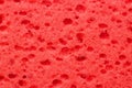 red sponge texture Royalty Free Stock Photo