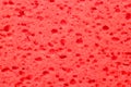 red sponge texture Royalty Free Stock Photo