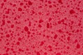 Red spongy texture Royalty Free Stock Photo