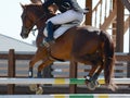 Red sport horse jumping through hurdle. Horse show jumping in details.