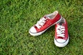 Red sport shoes Royalty Free Stock Photo