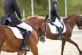 A red sports horse with a rider riding with his foot in a boot Royalty Free Stock Photo