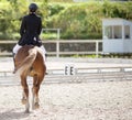 A red sports horse with a rider riding with his foot in a boot Royalty Free Stock Photo