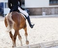 A red sports horse with a rider riding with his foot in a boot Royalty Free Stock Photo