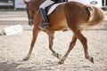 A red sports horse with a rider riding with his foot in a boot Royalty Free Stock Photo