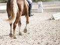 A red sports horse with a rider riding with his foot in a boot Royalty Free Stock Photo