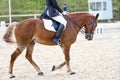 A red sports horse with a rider riding with his foot in a boot Royalty Free Stock Photo