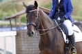 A red sports horse with a rider riding with his foot in a boot Royalty Free Stock Photo