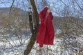 Red sports jacket hanging on tree branches in the winter forest