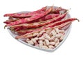 Red spotted kidney beans Royalty Free Stock Photo