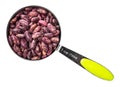 Red spotted pinto beans in measuring cup cutout Royalty Free Stock Photo