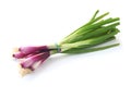 Red Spring Onions Royalty Free Stock Photo