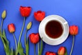 Red spring tulips on a blue background with a cup of tea Royalty Free Stock Photo