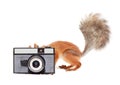 Red squirrel with camera