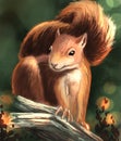 The red squirrel digital illustration