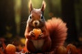 red squirrel holding an apple eating autumn leaves Royalty Free Stock Photo