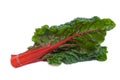 Red Stalk Silverbeet over white background Royalty Free Stock Photo