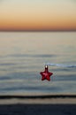 A red star Christmas ornament hanging on a branch at sunset. Royalty Free Stock Photo